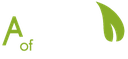 Bv A Concept Of Care