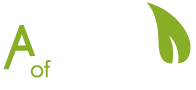 Bv A Concept Of Care