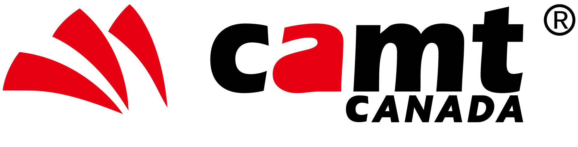 CAMT CONSULTING & FINANCE (CA) INC.