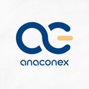 AnaConEx IT Solutions L.L.C