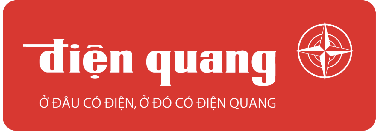 DIEN QUANG LAMP JOINT STOCK COMPANY