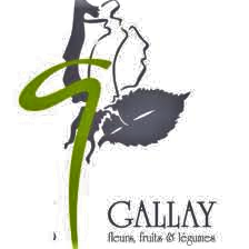 Gallay Fleurs