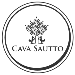 JORGE ALBERTO SAUTTO OLIVARES