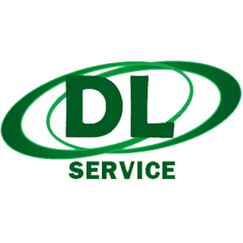DOMESTIK LINE SERVICE SRL