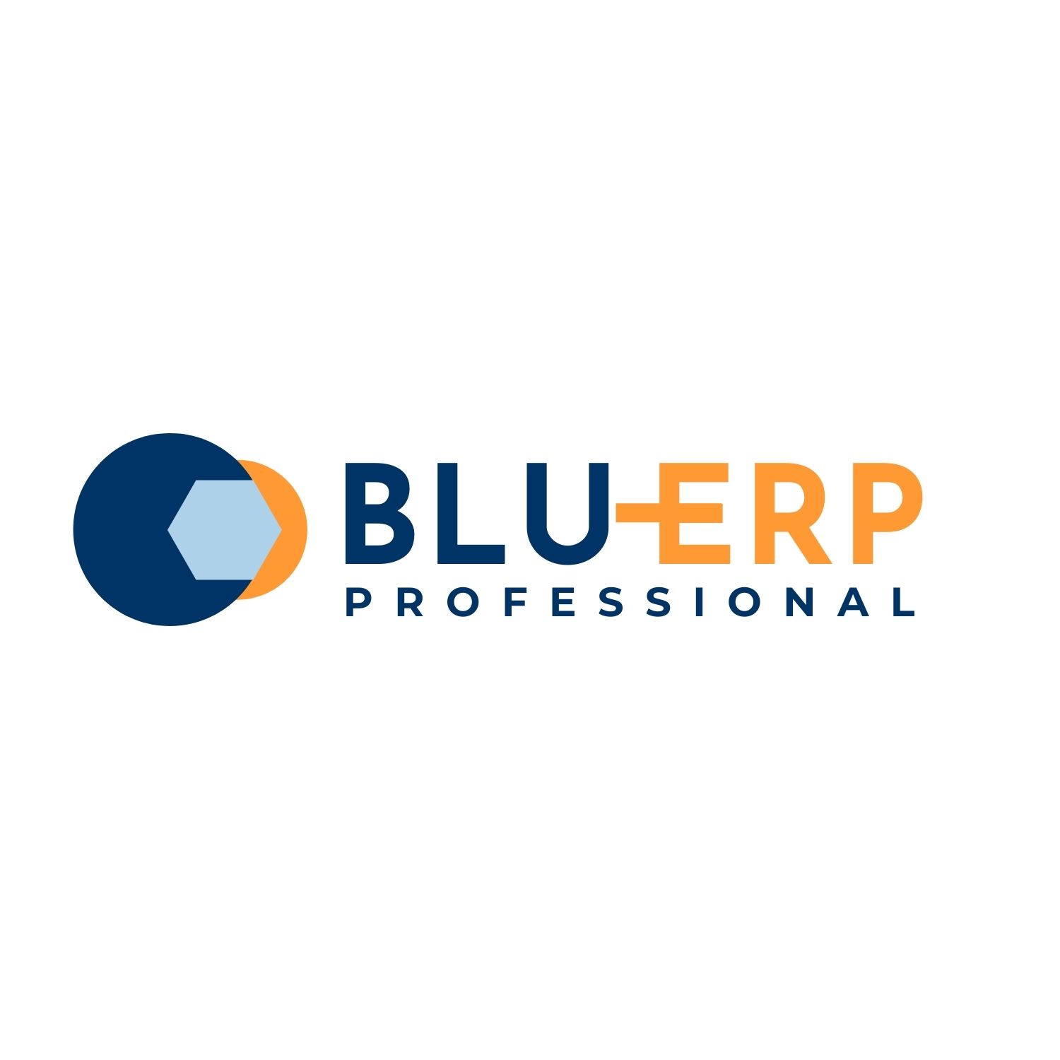 BLUERP BV