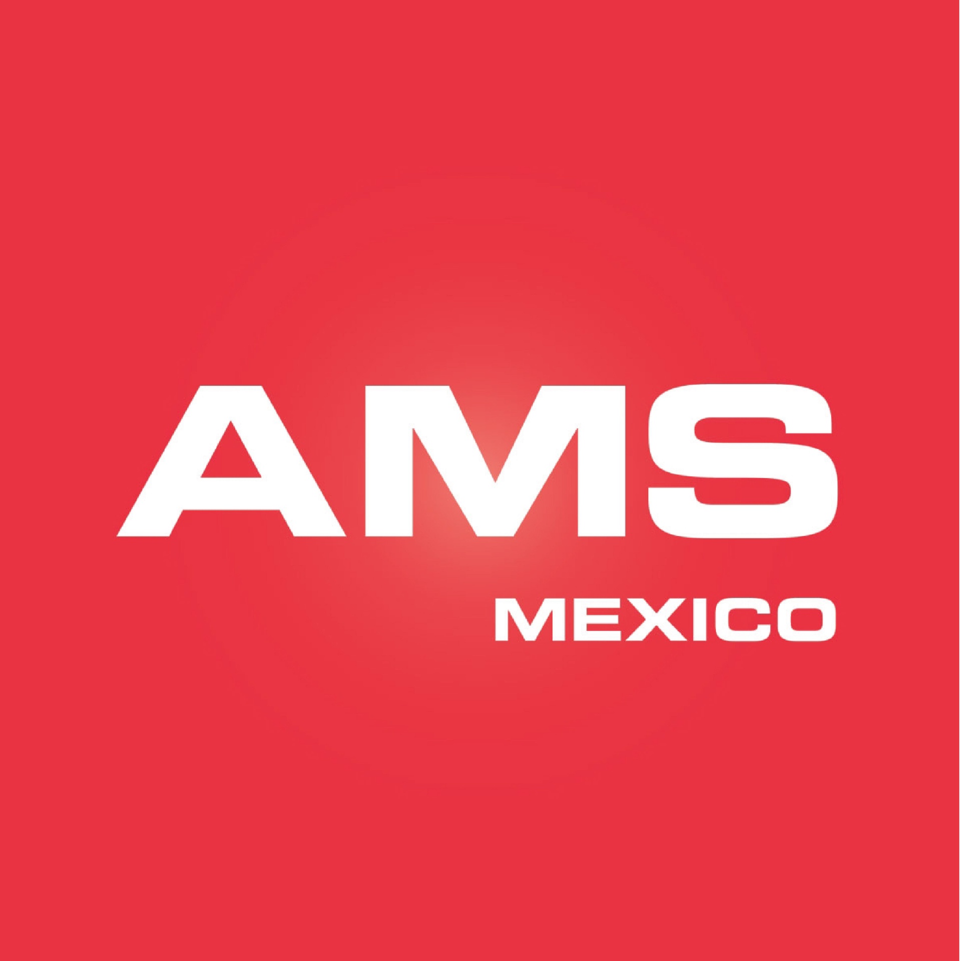 AMS FACTORY AUTOMATION DE MEXICO