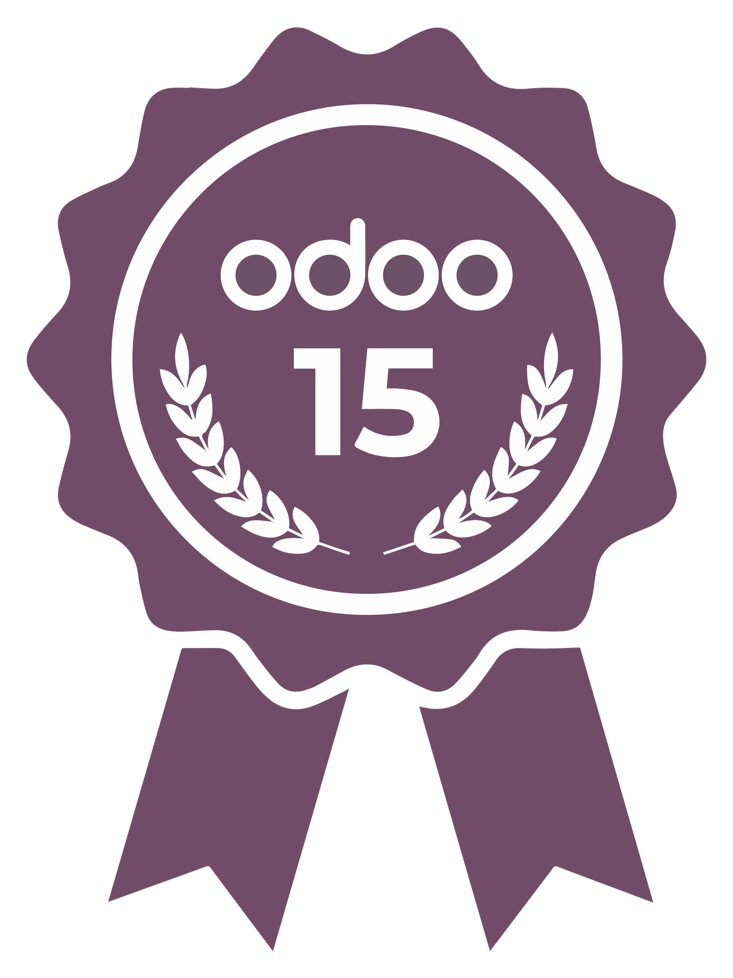 Certificación funcional de Odoo v15 (Español)